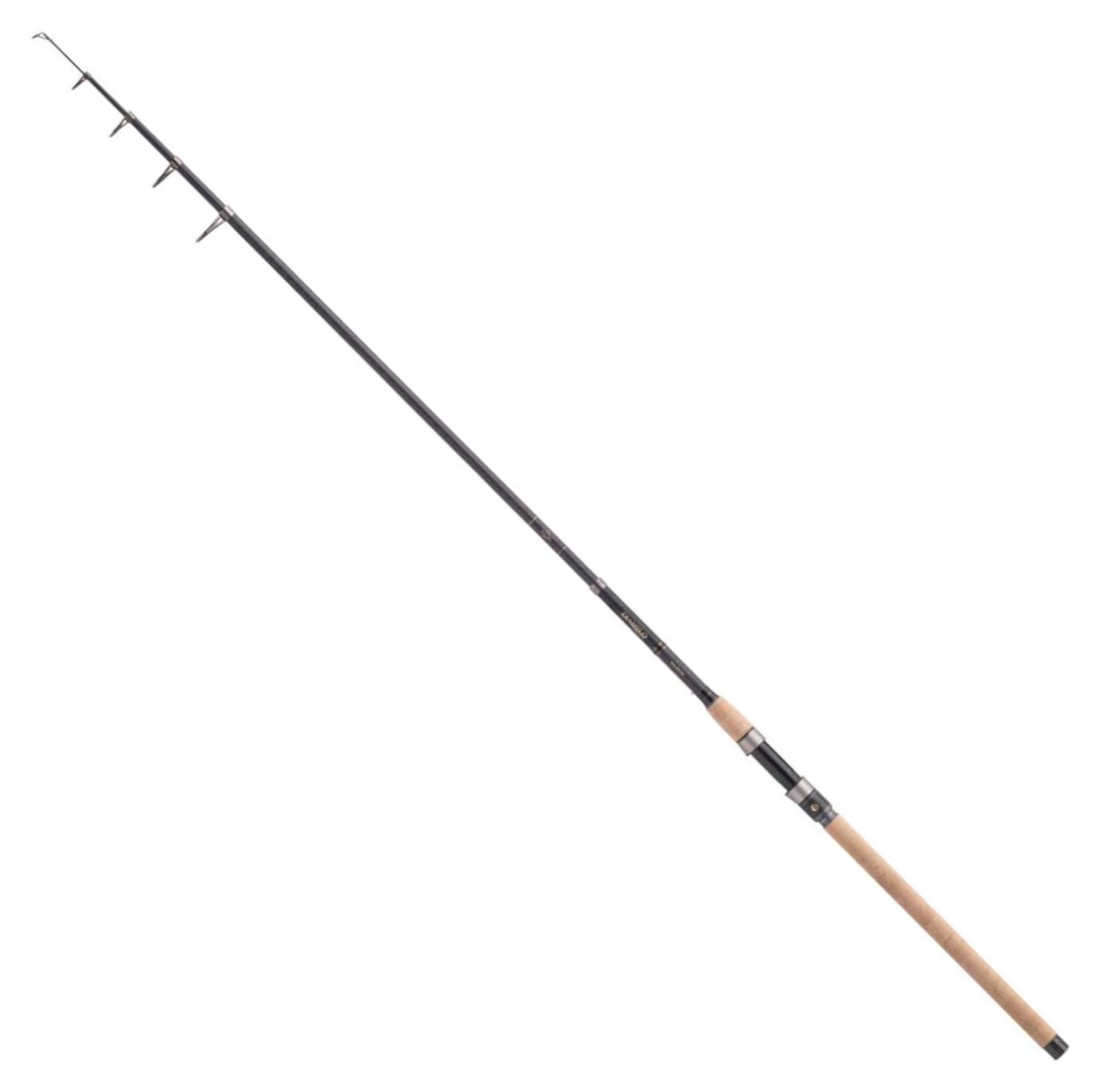 Balzer Diabolo Golden Circle Tele 105 3,00m 40-105g - Angelrute 11142300-aus