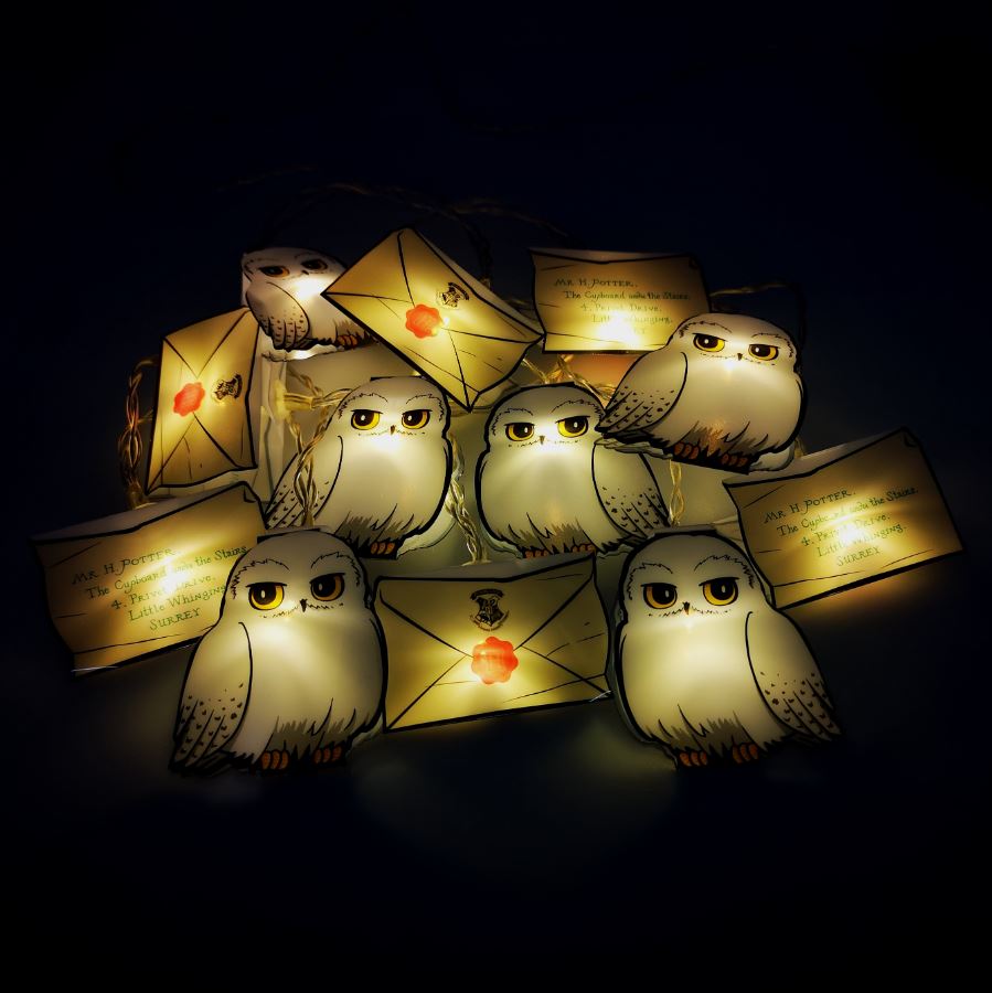 Groovy Harry Potter Annahmeerklärung 2D String Lights 92255
