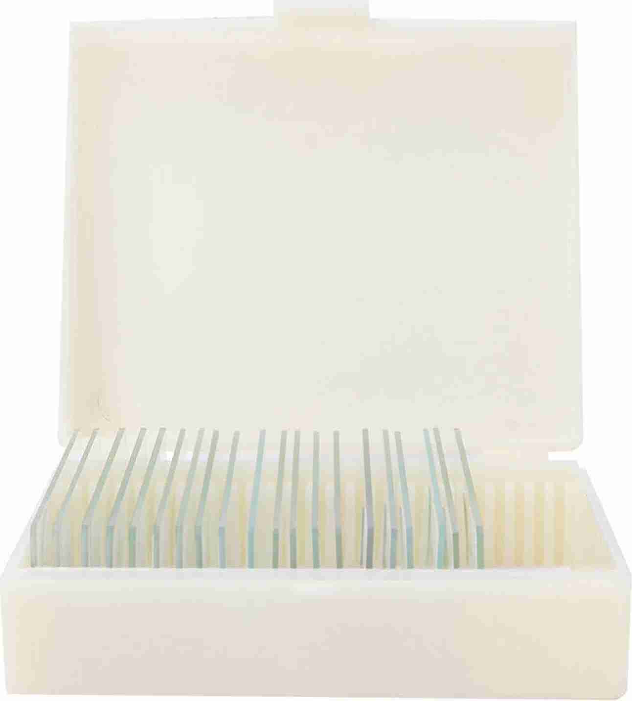 Cocosity 20pcs mikrobiologische bakterielle Proben Biologie-Mikroskop-Scheiben Labor Probe