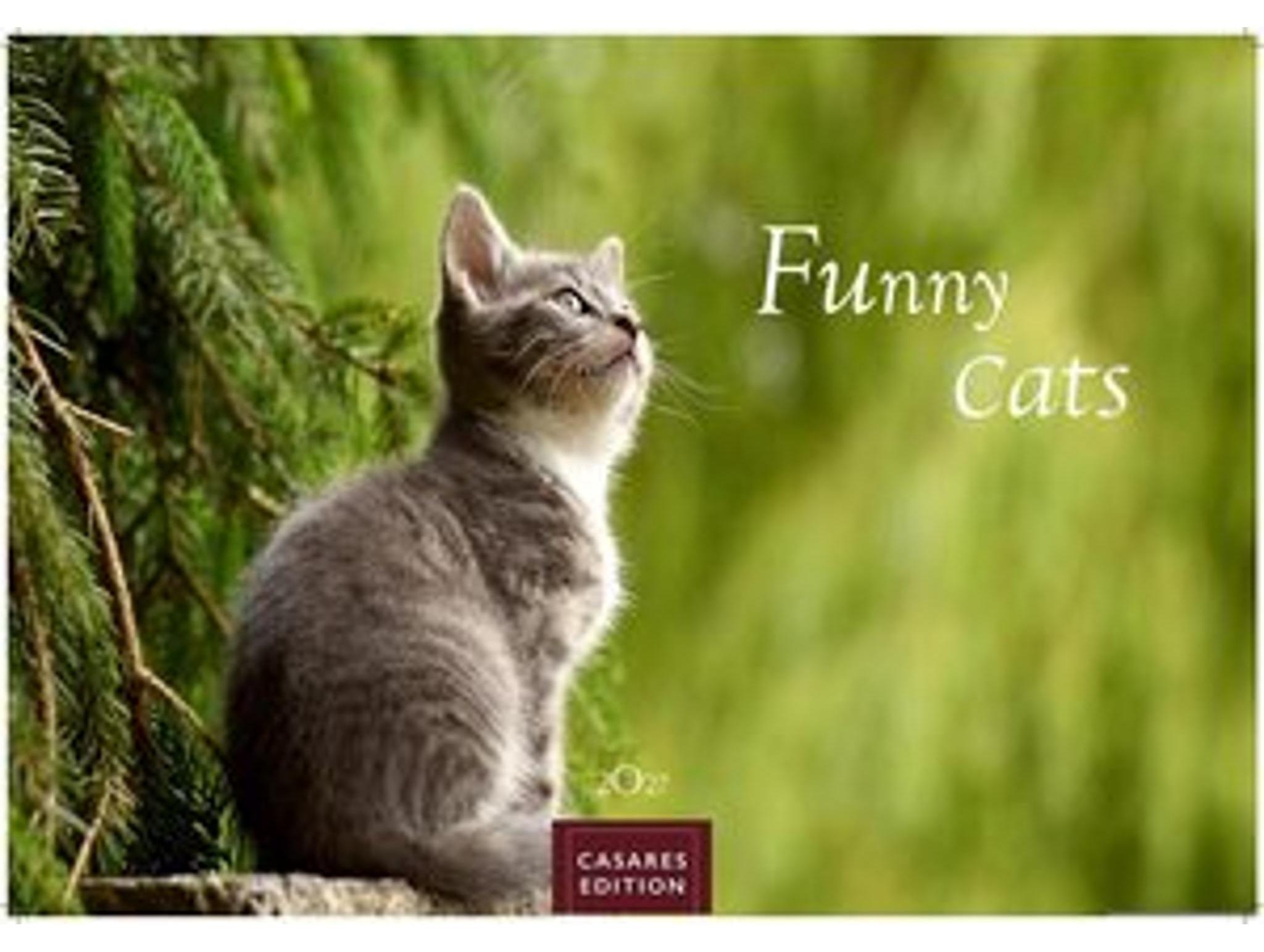 Sonstige Verlage Funny Cats Kalender 2027 - Wandkalender | Fotokalender Tierkalender 35x50cm - Witziger Katzenkalender 33079316_9781835247778