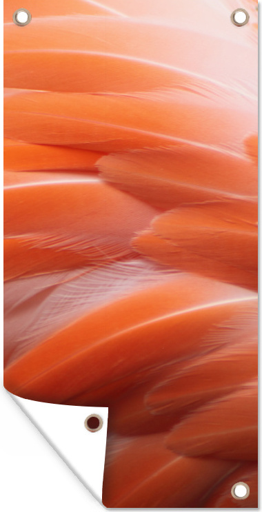 MuchoWow® 40x80 cm Outdoor-Poster Gartendeko Sichtschutz Garten Poster für den Garten Gefiederstruktur eines Flamingos 133|341441160