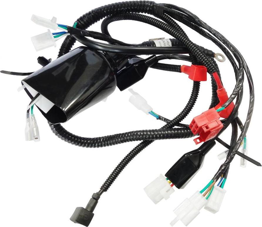 Moretti Die Elektroinstallation von Pentor