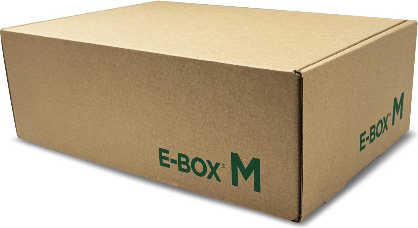 Blasetti E-Box Verpackungsbox Braun 10 Stück(e) 0363