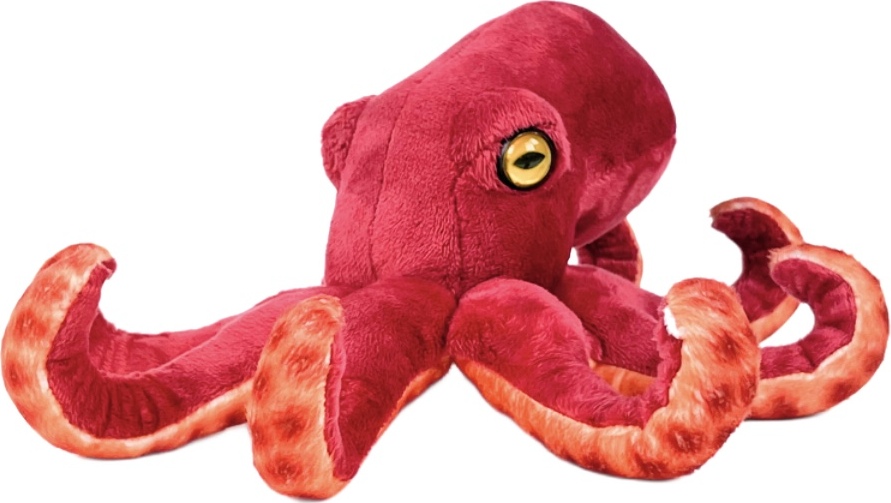 Teddys Rothenburg Kuscheltier Oktopus 26 cm rot/orange Plüschoktopus 242685