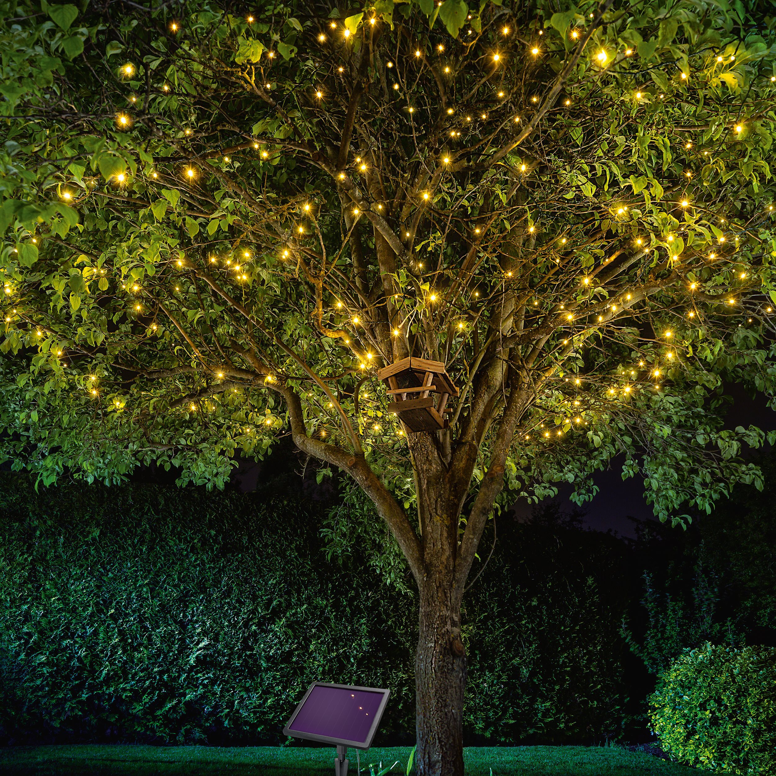 Esotec GmbH esotec Solar Lichterkette mit 200 warmweißen LEDs wetterfest 102570