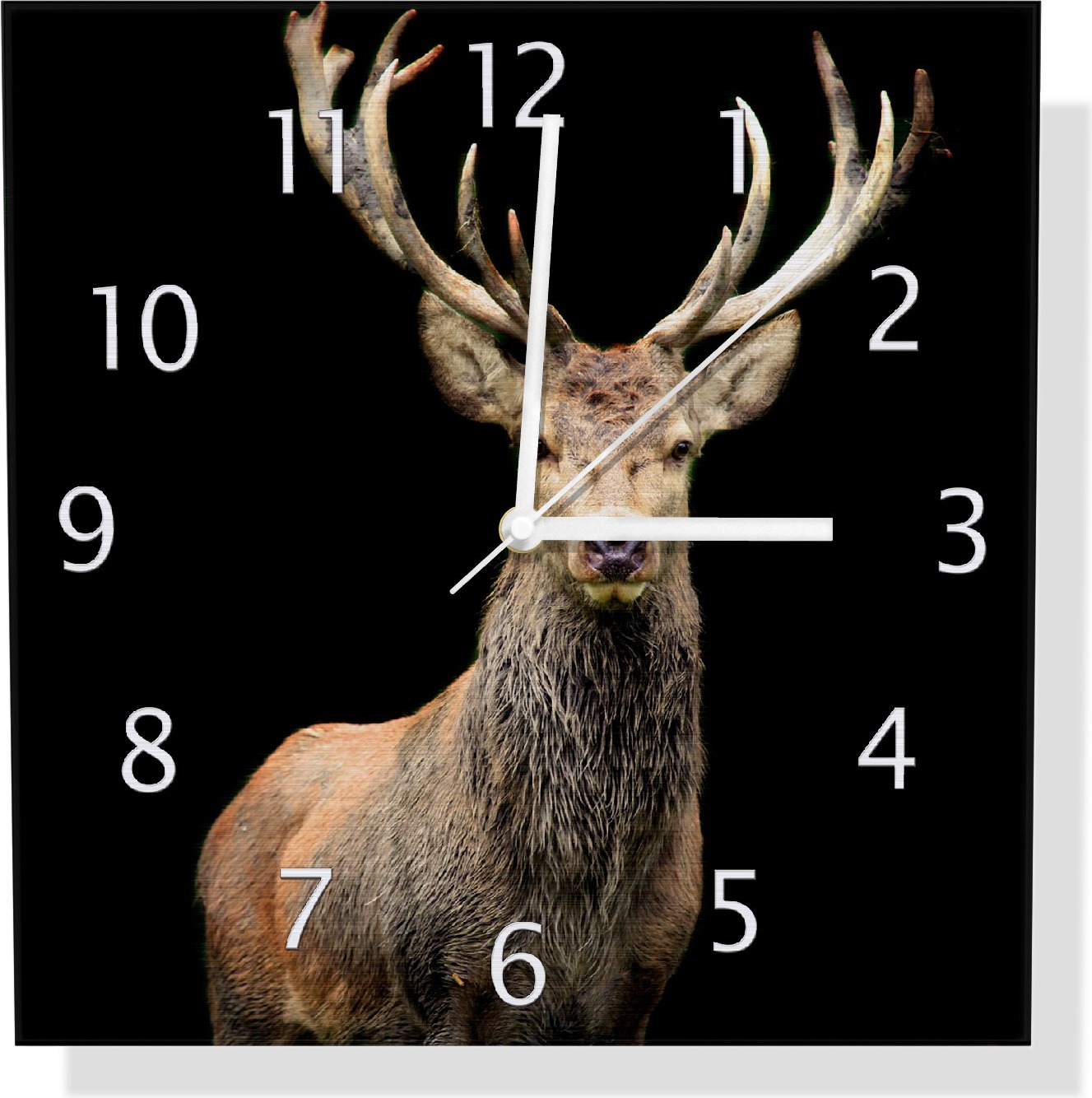 Wallario Design Wanduhr Stattlicher Rothirsch aus Aluverbund, Größe 30 x 30 cm udi0314-3030