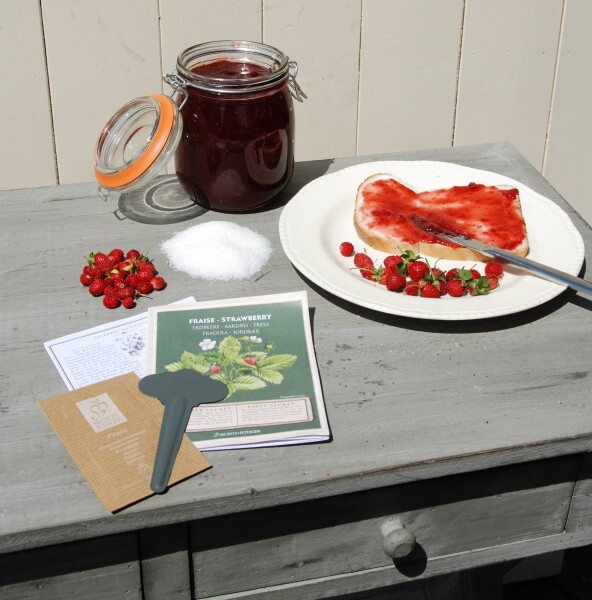 Esschert Design Erdbeermarmeladenset mit einem großen Einmachglas Landhaus Erdbeeren C2013
