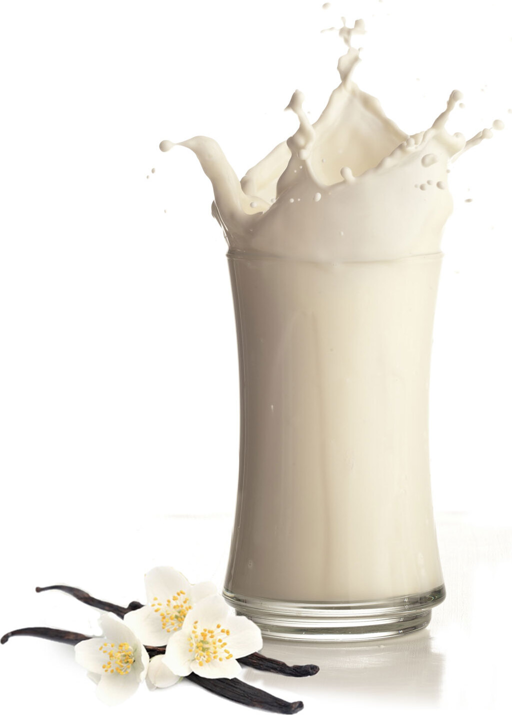 Gino Gelati Bourbon Vanille Milchshake Pulver 1 kg GG-MSP-212.1