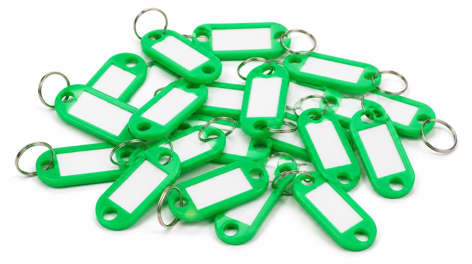 BAYLI 15er Pack Schlüsselanhänger zum Beschriften Einfarbig - Grün - Schlüsselschilder mit Ring Beschriftbar | Schlüsselring zum Beschriften | Schlüsselring Kunststoff mit auswechselbaren Etiketten 15x Schlüsselanhänger zum Beschriften