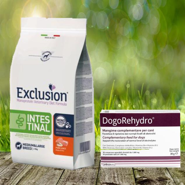 Exclusion Notfallpaket für Hunde bei ERBRECHEN