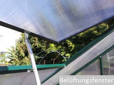 Wunderschöne Gewächshaus 190 x 250 4mm