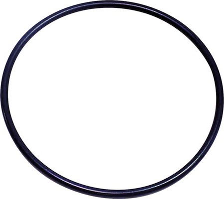 Dichtungsring EHEIM für 2080/2180