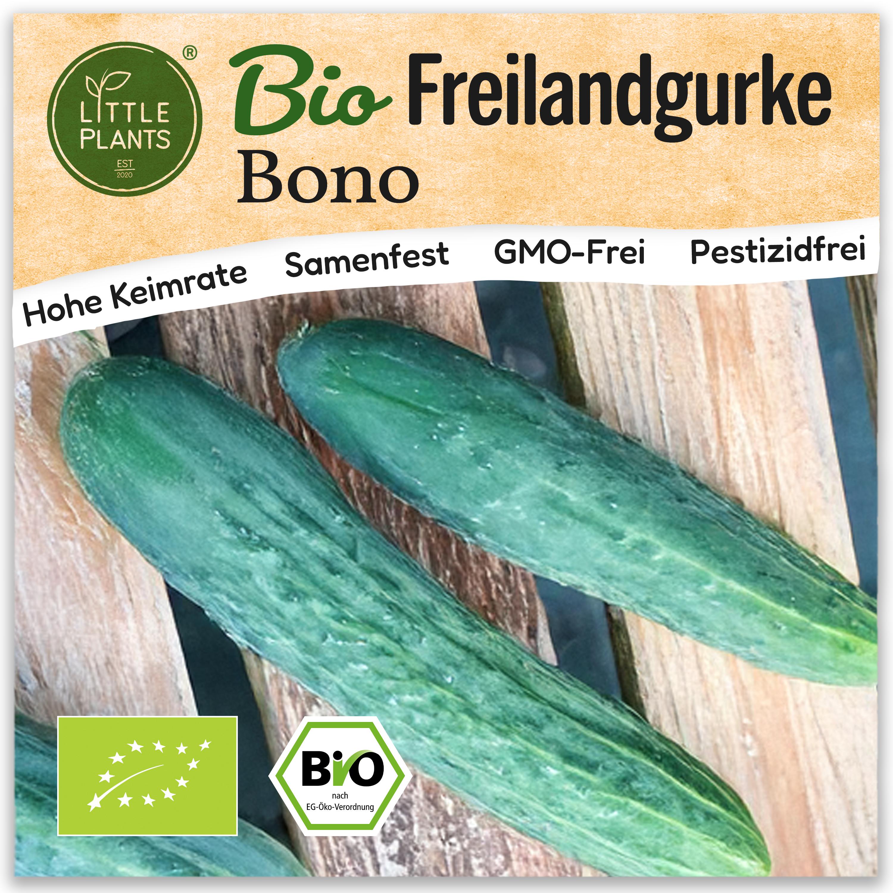 Produktbild von CUCAMELON 30 Samen MELOTHRIA SCABRA Mexikanische Mini-Gurke