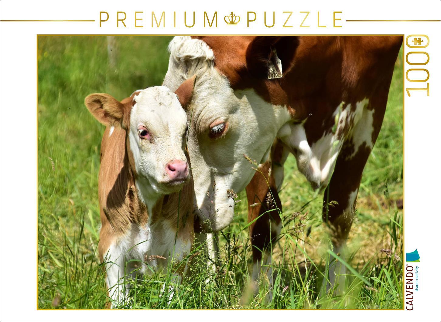 CALVENDO Puzzle Fotoserie Rinder und Kälber auf den Wiesen der Eifel - Foto Jean-Louis Glineur | 1000 Teile Lege-Größe 64x48cm Foto-Puzzle für glückliche Stunden