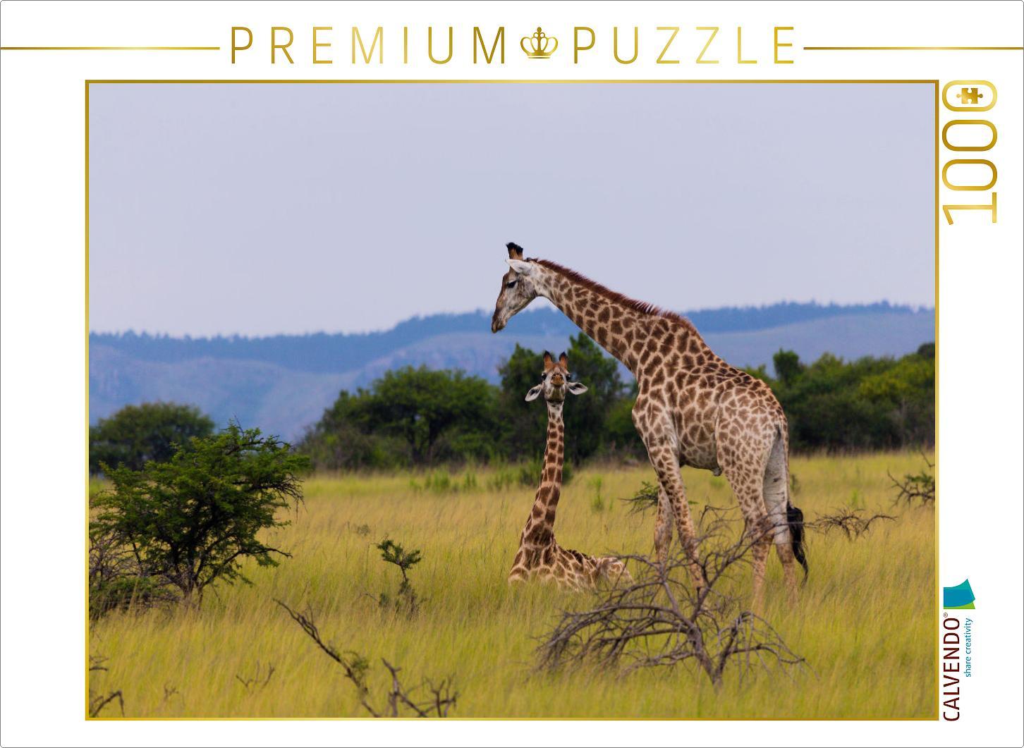 CALVENDO Puzzle Unterwegs im Caprivi-Streifen, Namibia | 1000 Teile Lege-Größe 64x48cm Foto-Puzzle für glückliche Stunden