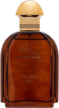 Jaguar Oud For Men parfémovaná voda pre mužov 100 ml