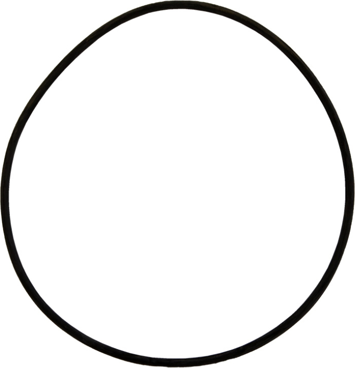Trend Pool O-Ring zu Pumpengehäuse Beta-Pumpen 5 und 7m³ | Teile Nr. 8