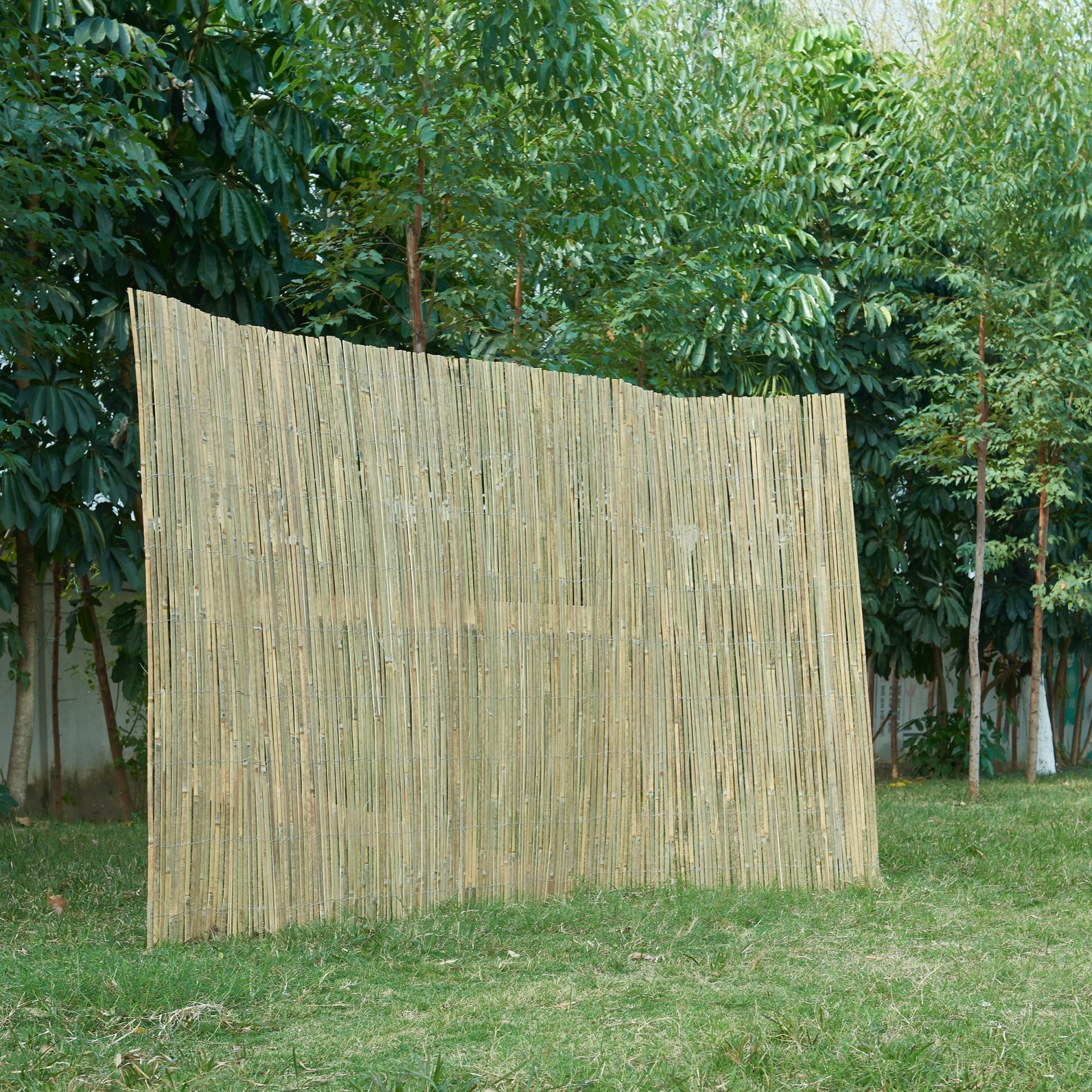 Bambusowe ogrodzenie 'Baarle' ekran prywatnoci 150x500cm
