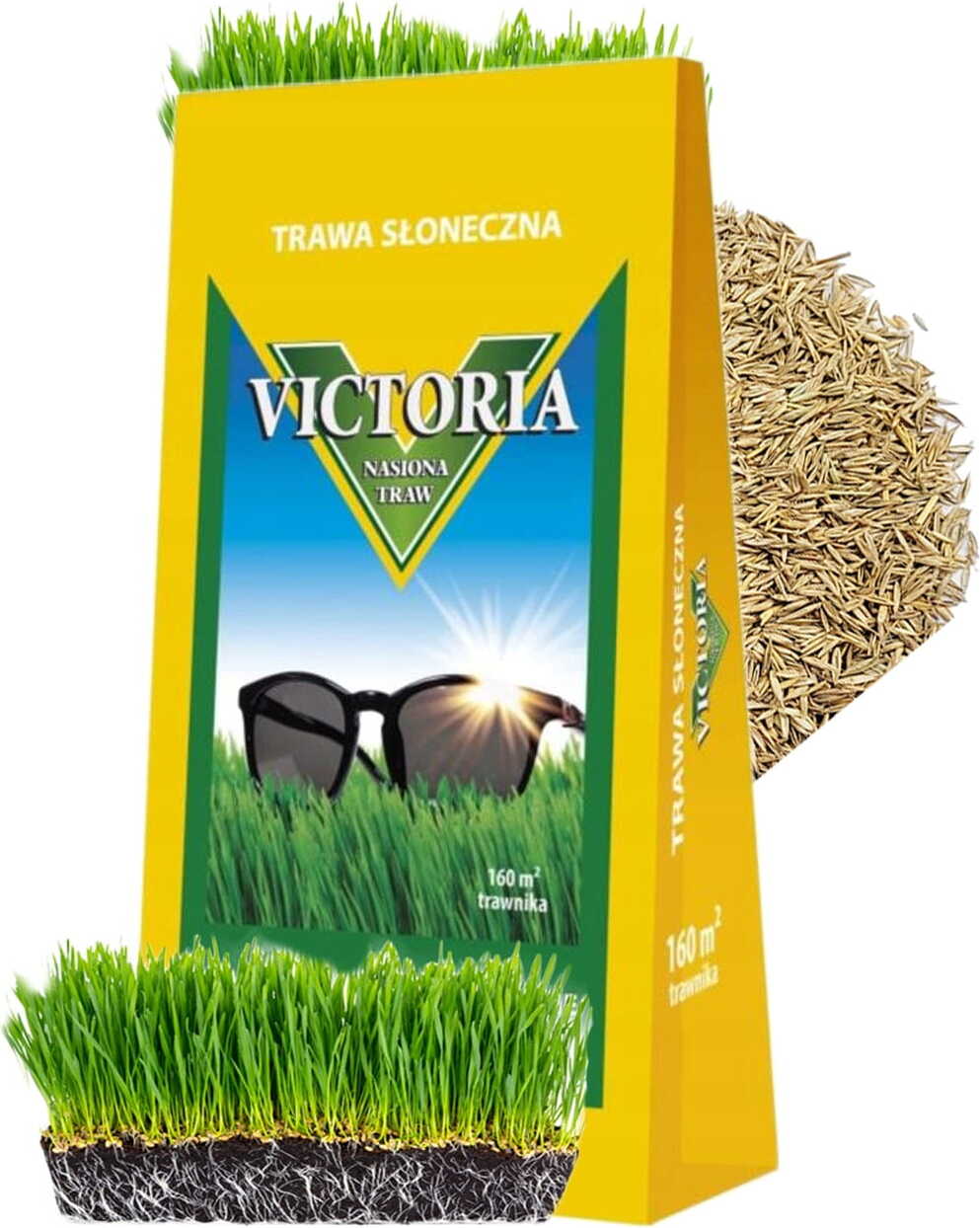 floraland Victoriagrassamen für trockene Gebiete 4kg TRAWA VICTORIA SONECZNA 4 kg