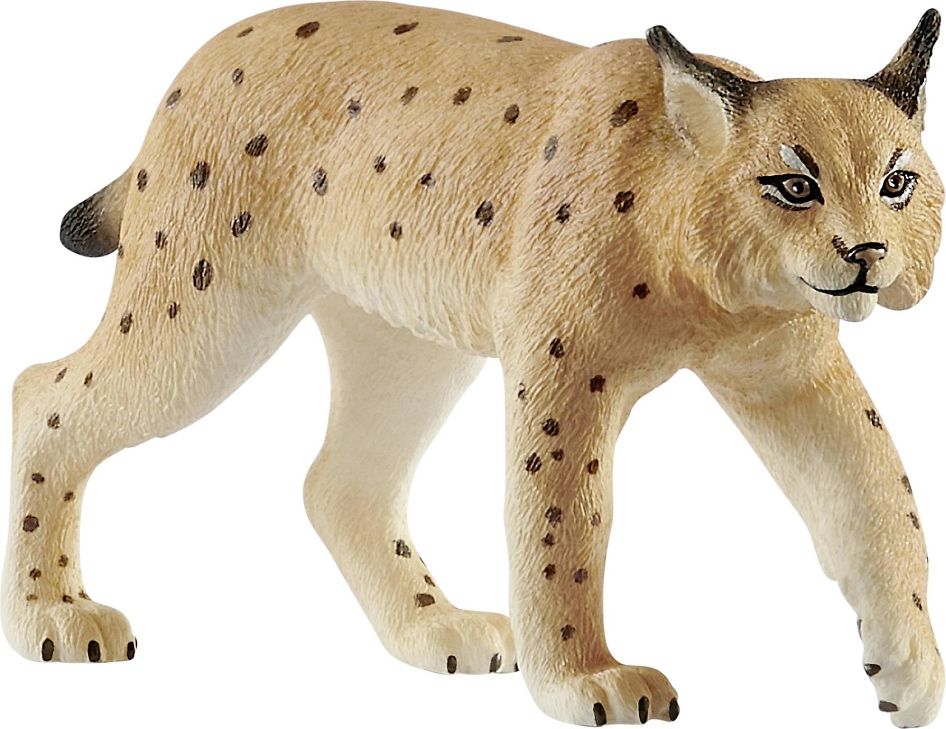 Schleich 14781 Figurine élan Mâle - Figurine Animal Sauvage Détaillée - 13 X 7 X 11 Cm - Dès 3 Ans - 4
