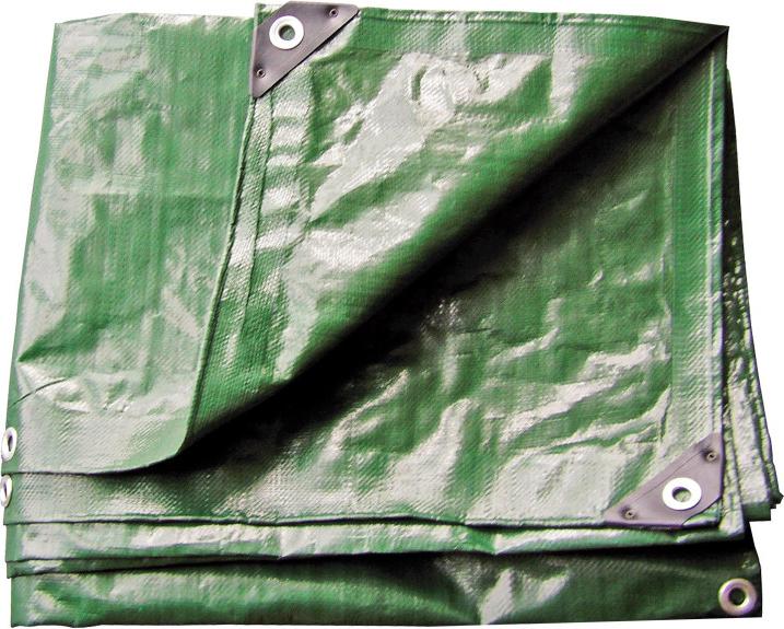 DEMA Wasserdichte Persenning 6x10 m 210 g/m2, grün 24716