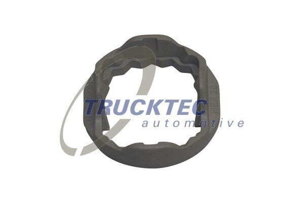 TRUCKTEC AUTOMOTIVE Sicherungsclip Sicherungsklammer 01.36.132