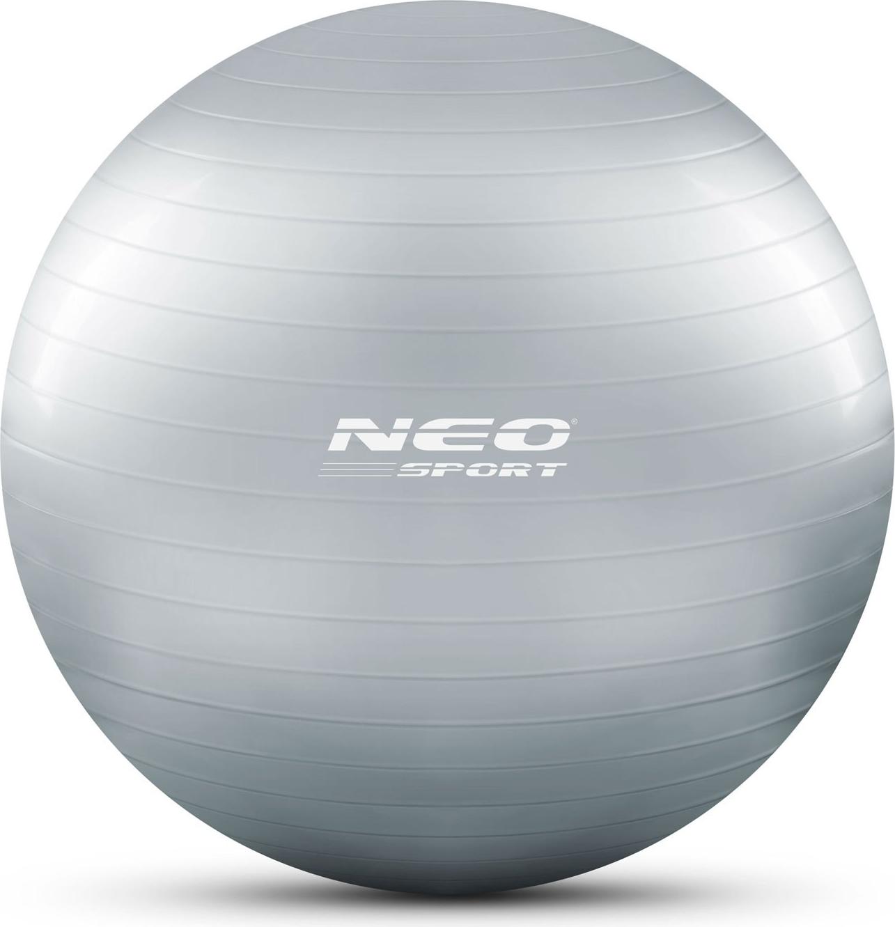 Neo-Sport Gymnastikball 65 cm NS-951 silber 195100