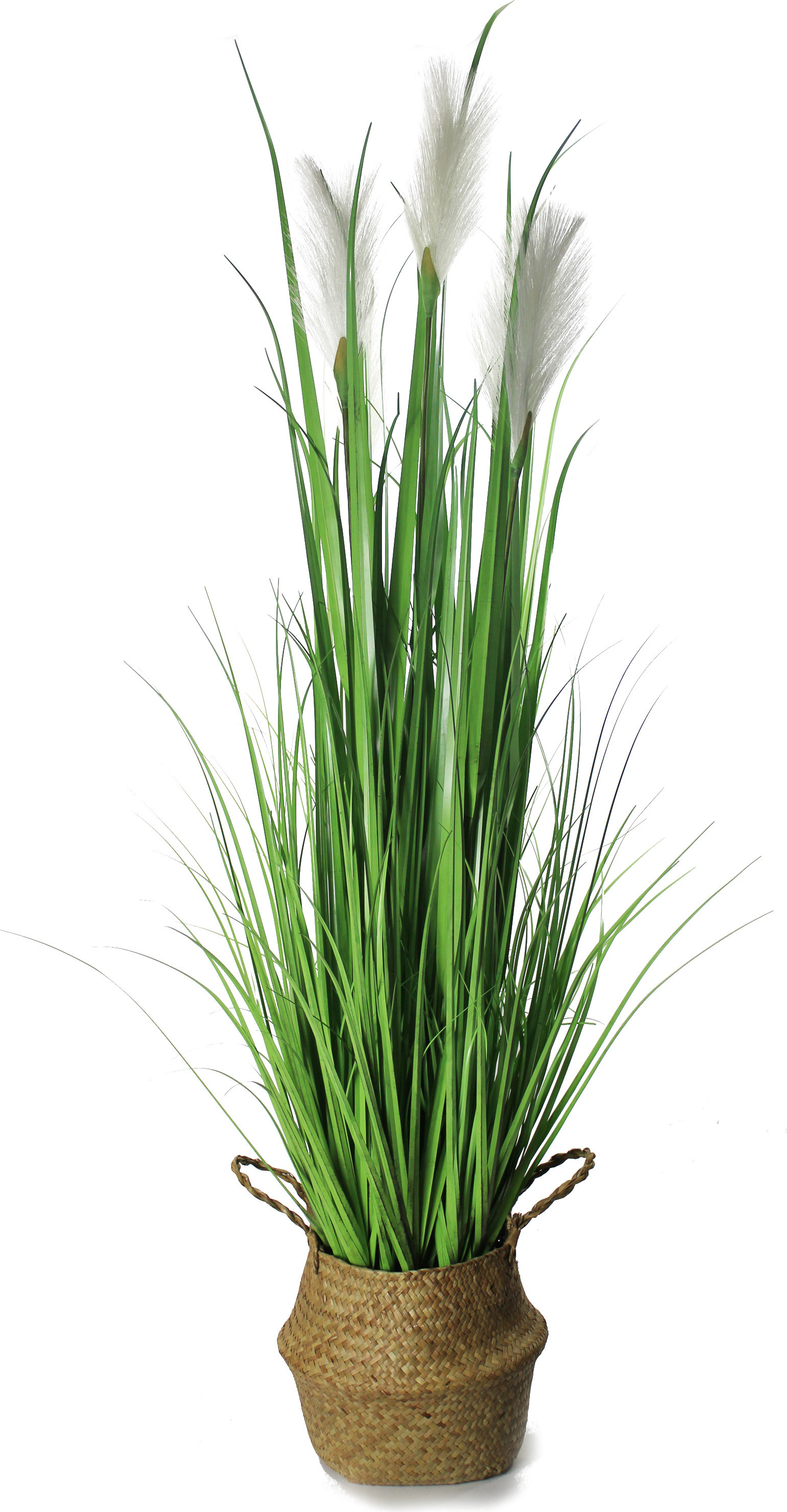 pflanztopf auf beinen Blumentopf auf Beine – SikaXXL main image 1