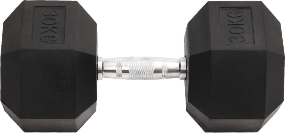 vidaXL Kurzhantel 30 kg Gusseisen 93612