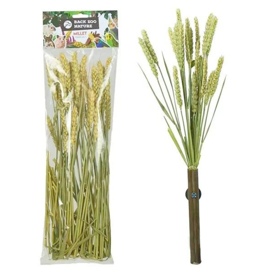 Weizenähren im Strauß von Back Zoo Nature | Weizenstrauß | Leckerli für alle Papageien 50g