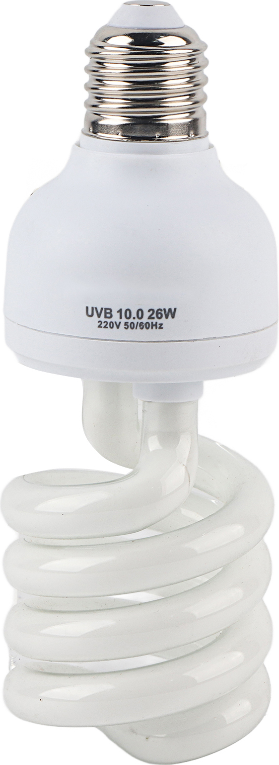Gistuch E27 26W Wüsten-Reptilienlampe, UVB Calcium-Leuchtmittel, 220-250V für Terrarium 10.0