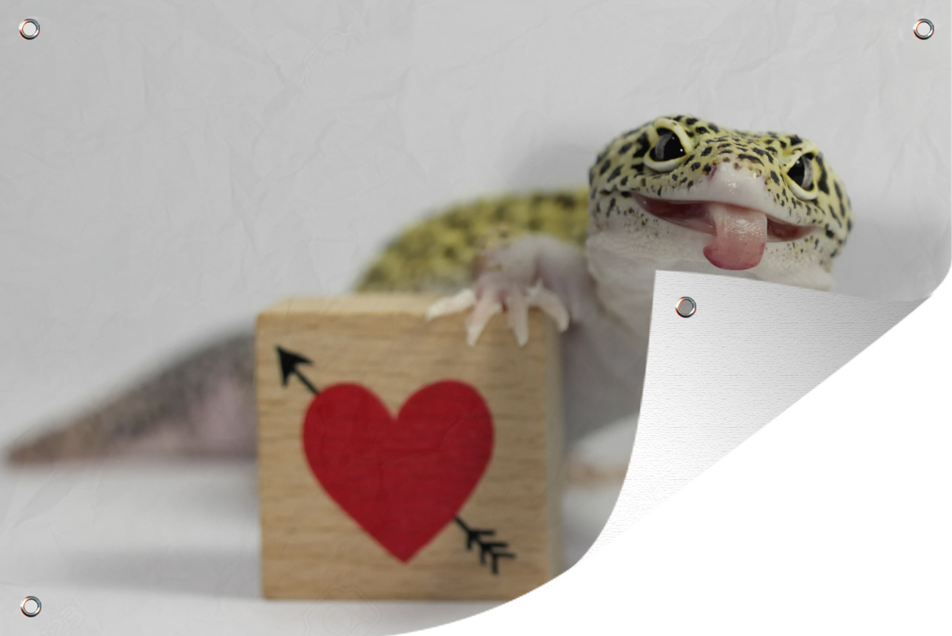 MuchoWow® 120x80 cm Outdoor-Poster Gartendeko Sichtschutz Garten Poster für den Garten Zunge herausragender Gecko 133|38396384