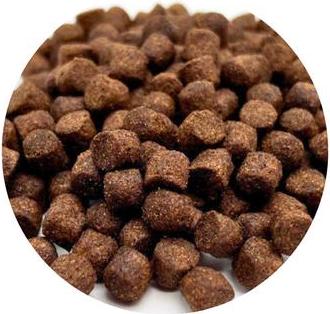 Warnicks Tierfutterservice WTS Koifutter Top Energy Plus - 5 kg 8 mm 2003-0015