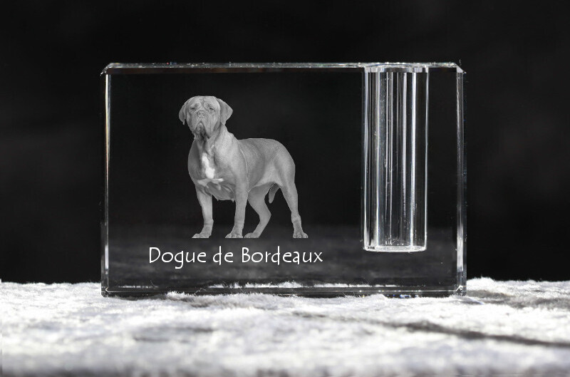 Bordeauxdogge, Dogue de Bordeaux - Stifthalter, Kristallorganizer mit Hundefoto, einzigartige Schreibtischdekoration der Marke Art-Dog