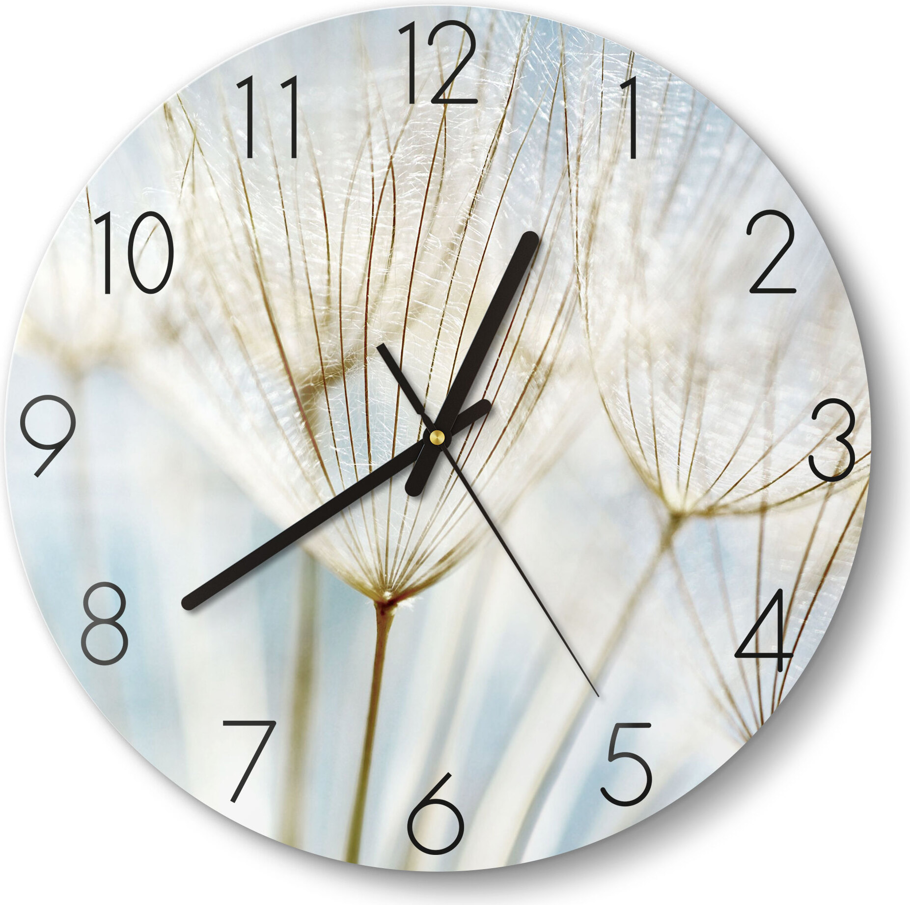 DEQORI Glasuhr Ø30 cm Zahlen 'Löwenzahnsamen nah' Wanduhr Glas Uhr Design leise WC-D30-N-2447