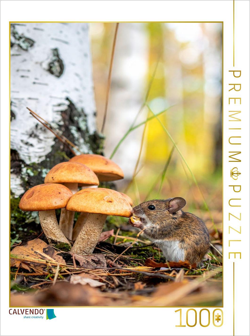 CALVENDO Puzzle Birkenpilze und Maus | 1000 Teile Lege-Größe 64x48cm Foto-Puzzle für glückliche Stunden