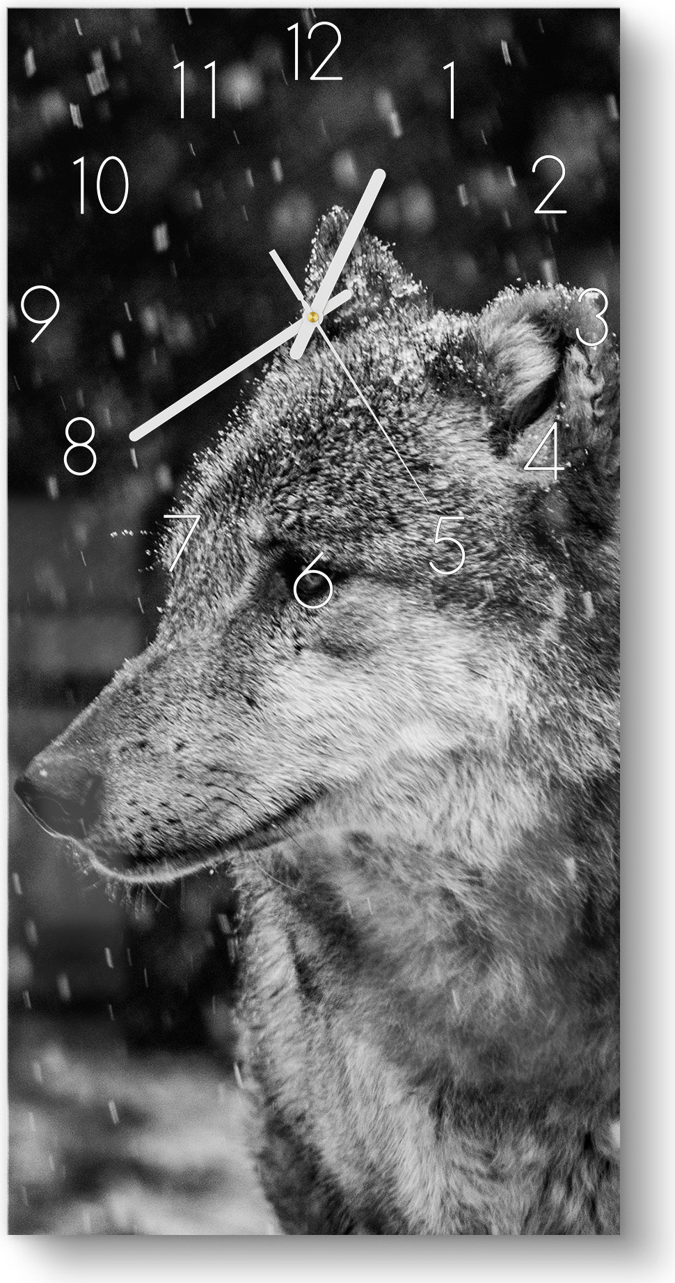 DEQORI Glasuhr 30x60 cm Zahlen 'Winterwächter' Wanduhr Glas Uhr Design leise Küchenuhr WC-30-60-N-3001