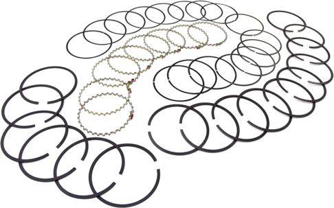 Federal Mogul Kolbenring Set Motor 5.9-L. Standard V8 AMC 360cui Jeep CJ 73-91 E301X