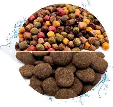 Warnicks Tierfutterservice WTS Koifutter 8-Sorten Mix für erhöhtes Wachstum - 6 mm 15 KG + 1 KG Hanzam 2001-0026