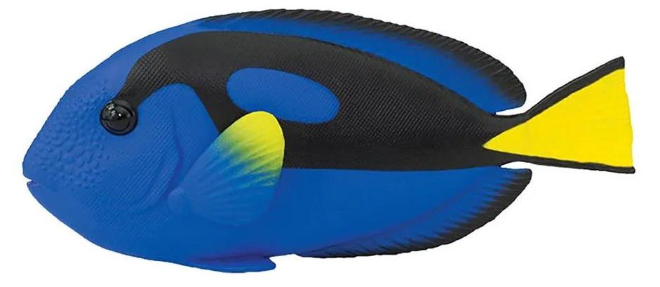 Safari Ltd Blue Tang Figur Blau From 3 Years Blau From 3 Years S100039-UNIT