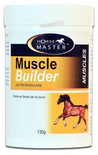 Muskelaufbauer - Horse Master