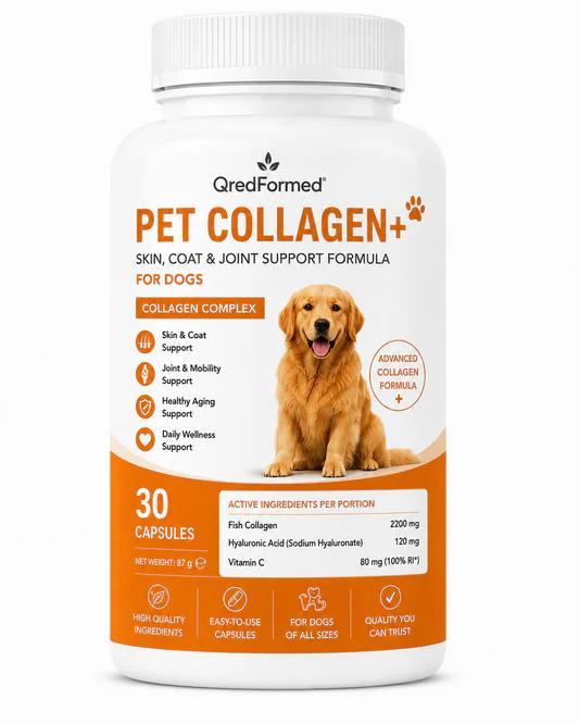 ZIMETER PET COLLAGEN+ - Haut-, Fell- & Gelenkunterstützung für Hunde - 30 Kapseln