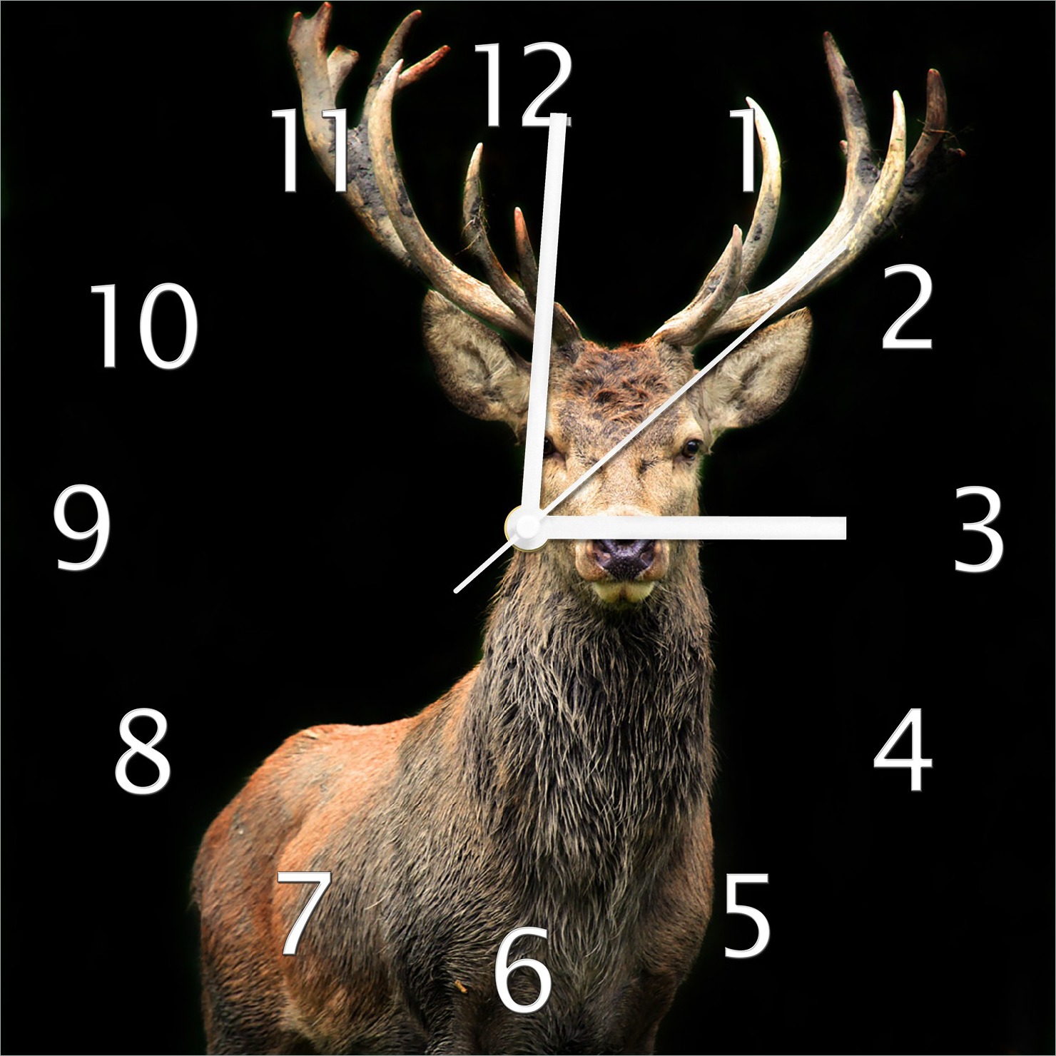 Wallario Design Wanduhr Stattlicher Rothirsch aus Echtglas, Größe 30 x 30 cm guk0314-3030