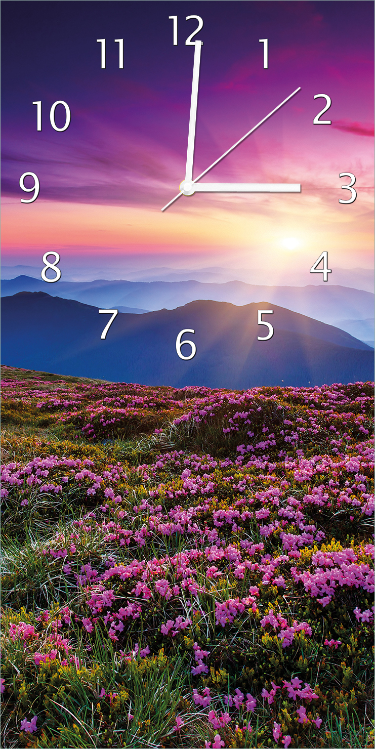 Wallario Design Wanduhr Blumenbedeckte Wiese bei Sonnenuntergang aus Echtglas, Größe 30 x 60 cm guk0525-3060