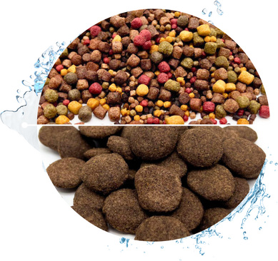 Warnicks Tierfutterservice WTS Koifutter 5-Sorten Mix mit Spirulina - 15 KG + 1 KG Hanzam 3 - 6 mm 2000-0029