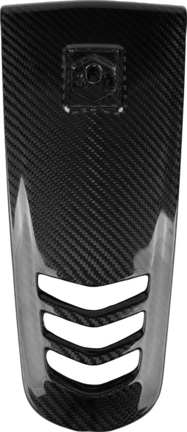 LTP Carbon Kaskade für Vespa GTS 300 HPE, 14>>18