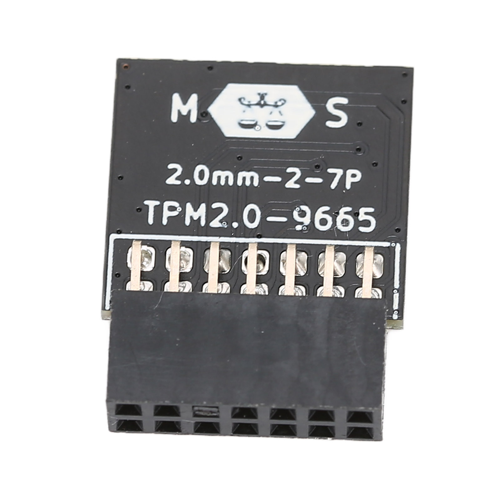 Cocosity TPM 2.0 Modul,TPM Chip,14pin TPM 2.0 Modul,TPM 2.0 Remote Card,TPM 2.0 Verschlüsselungs-Sicherheitsmodul,Verschlüsselungs-Sicherheitsmodul