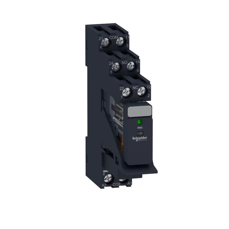 APC/Schneider Electrics Schneider Electric RXG23BDPV