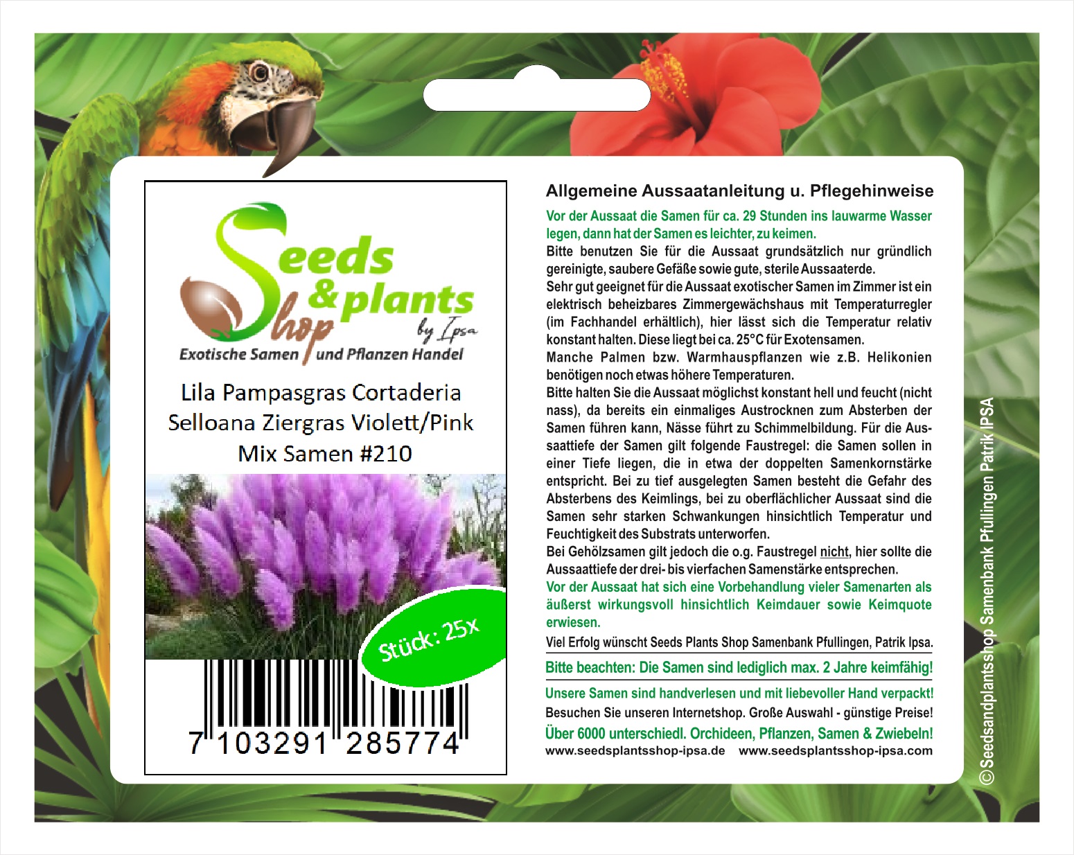 500x/Tasche Rare Schöne lila Pampas-Gras-Blumen-Pflanzen-Samen-Garten-Yard~ V5F1 