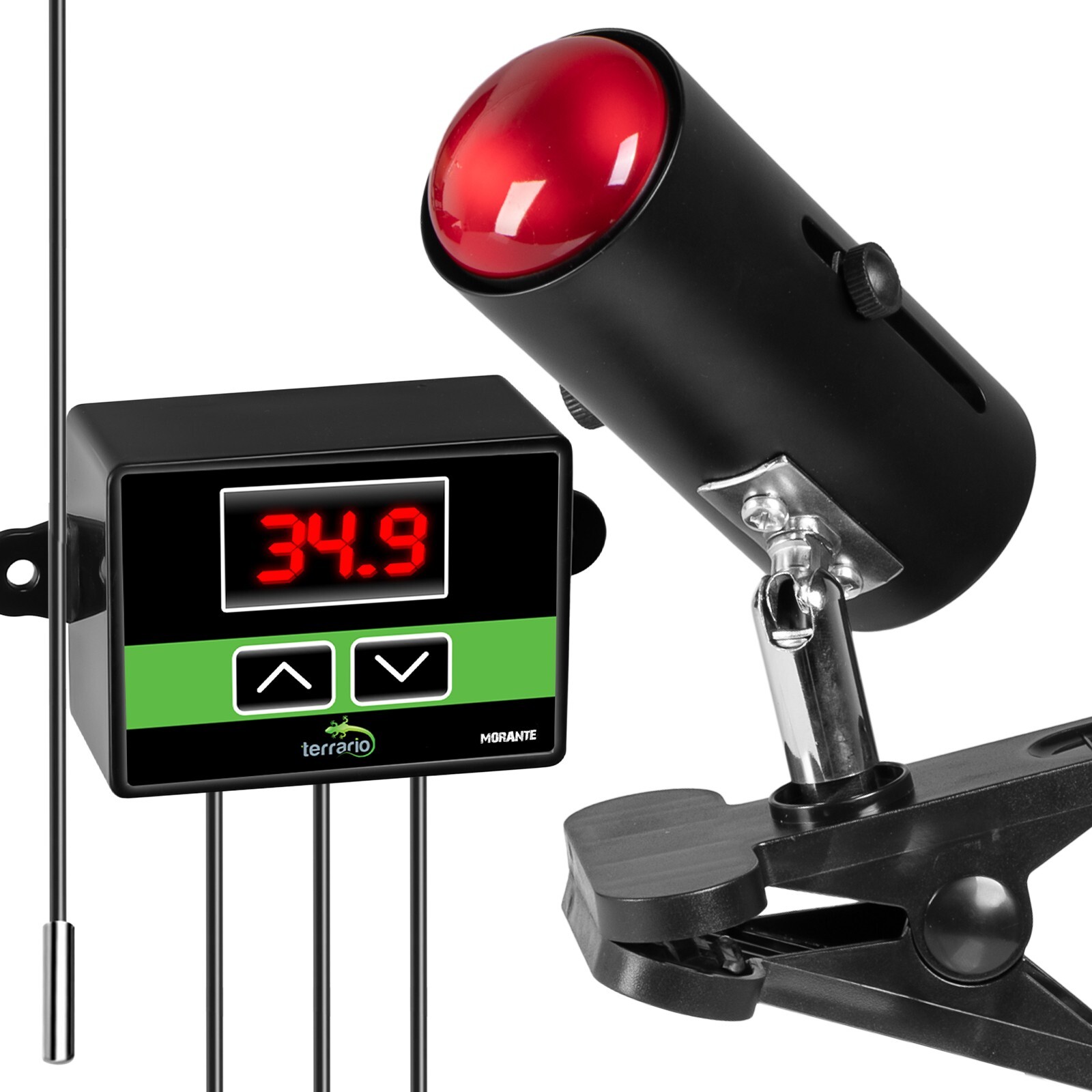 Lampe mit Thermostat, Terrario ReptiSun Temperaturkontrolle, Terrarienfassung, maximale Lampenleistung 200W